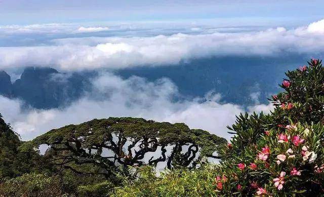 七穗最新排名，自然美景探索之旅，心灵平静之旅的启示
