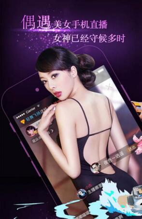 第1003页