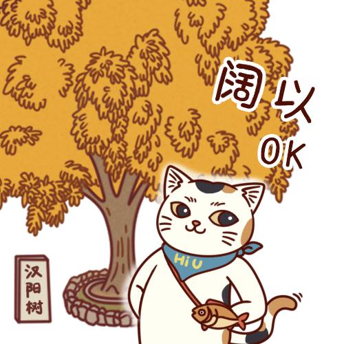 快猫探索现代快节奏生活下的创新与变革之道