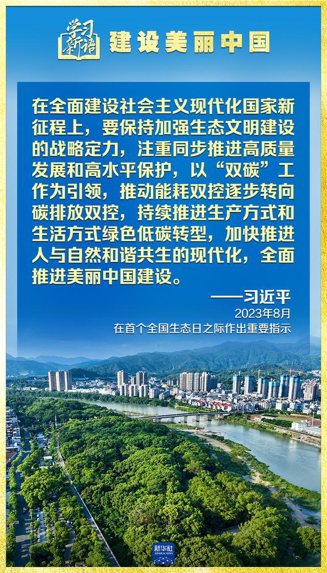 德惠最新停运背后的转机，逆境中的学习变化力量
