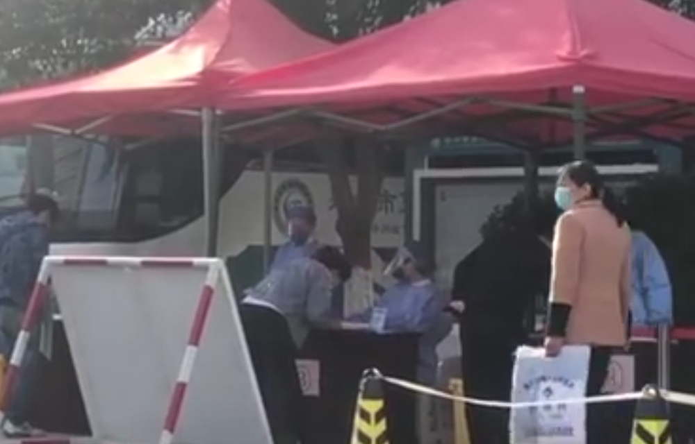 河南最新毒王事件，背景、进展与影响