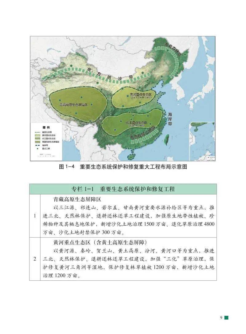 林业发展最新规划，步骤指南与操作指引