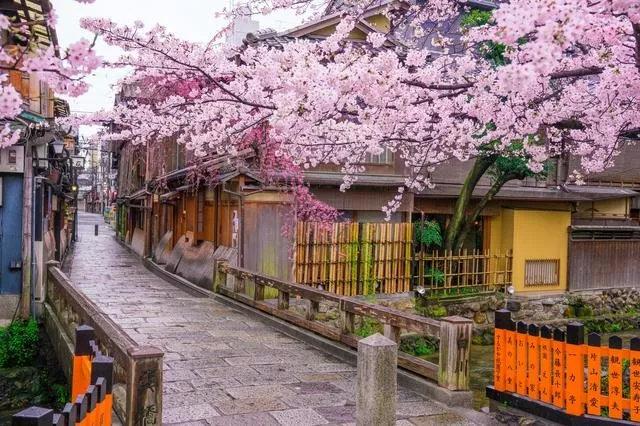 自然美景治愈之旅，最新感染人数传来好消息