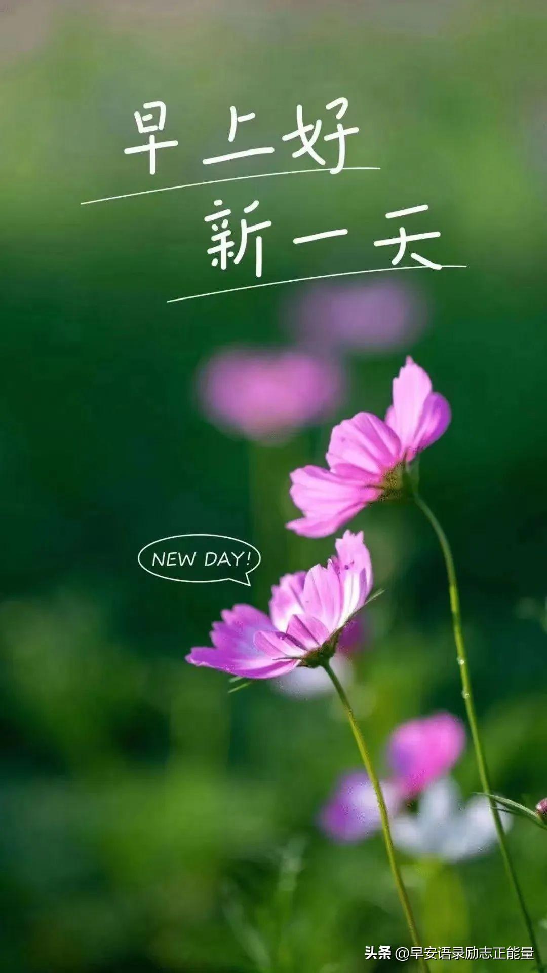 天最新作品，翱翔知识海洋，学习成就自信与辉煌