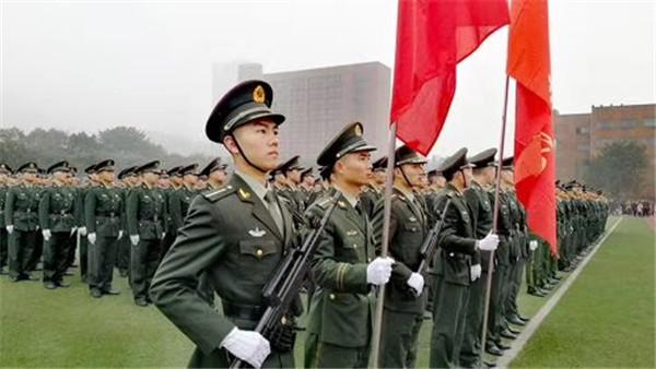 技术军官改革最新动态，深度解析新消息及其潜在影响