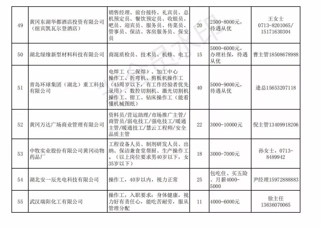 黄州区最新招聘信息概览与观点论述