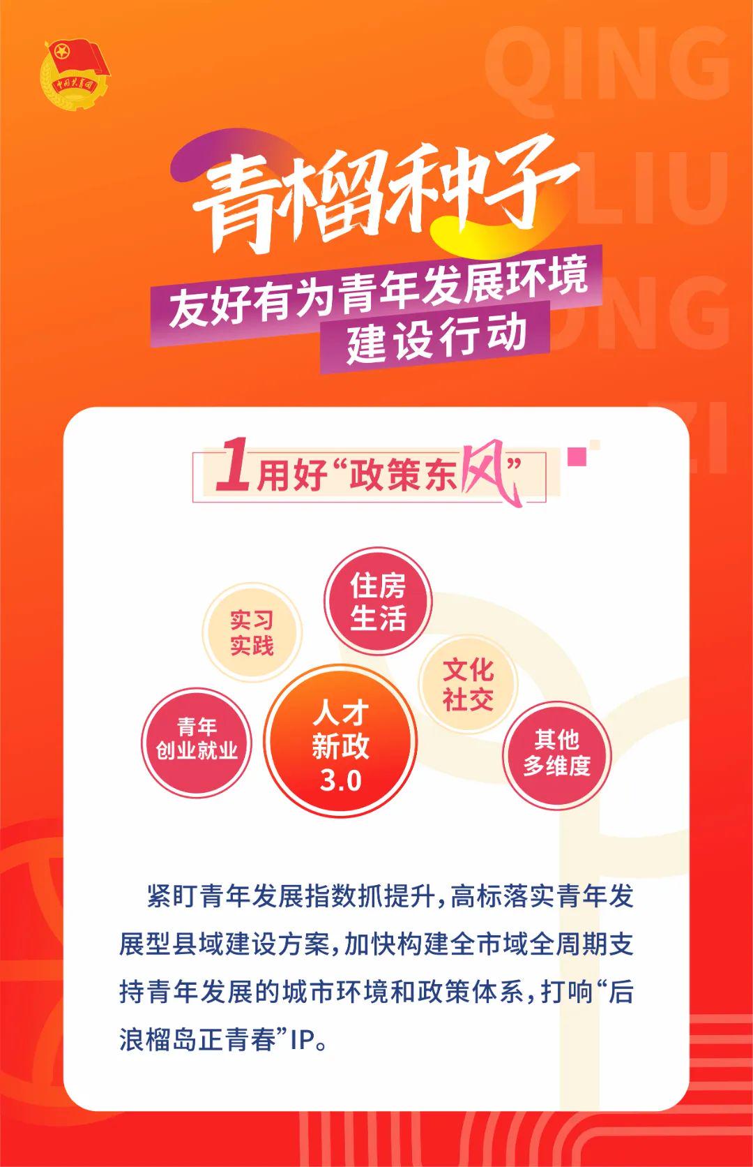 青榴最新区社2017入口，探索与深度解析