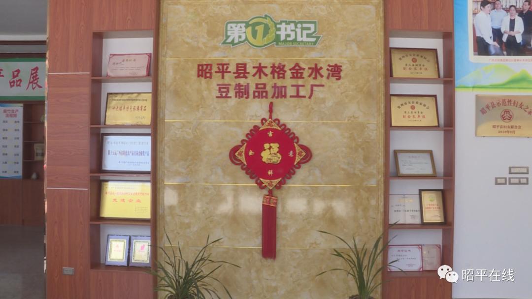 时代印记下的青春风采，90后风流种子最新章节