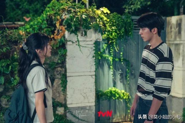 韩国最新韩剧，引领亚洲流行文化的潮流先锋