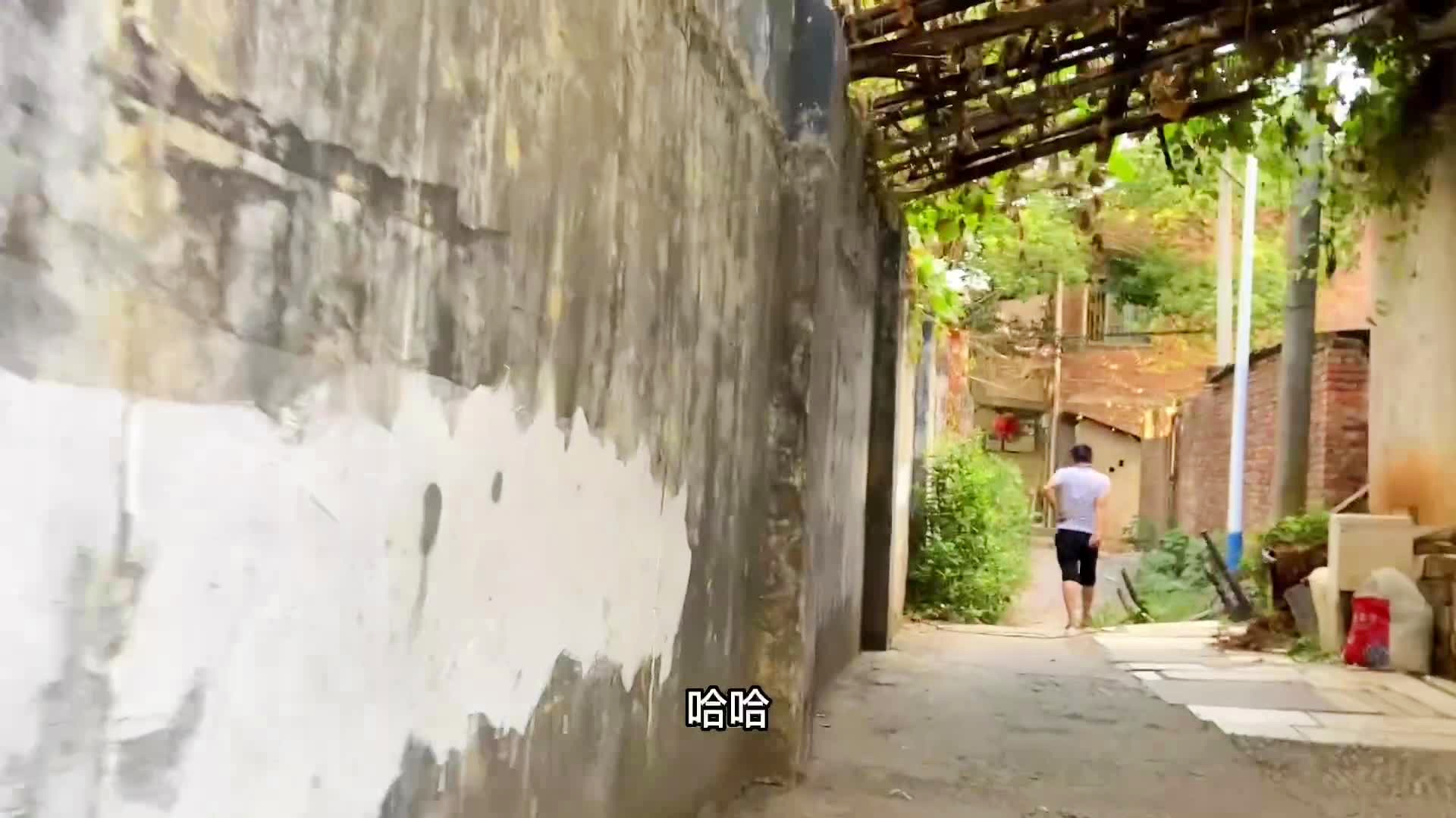 探索科技乐园，最新路由器在小巷中的隐藏宝藏之旅