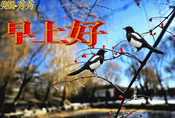 第452页