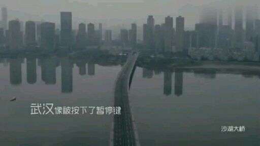 第443页