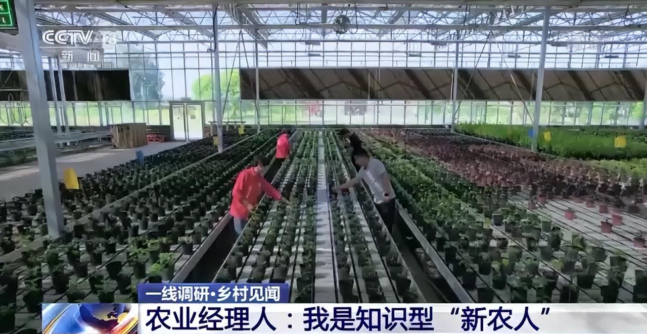 第427页