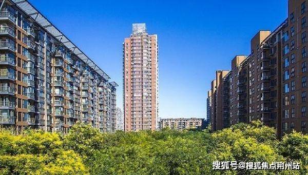 爱城最新，深度论述城市发展的未来之路