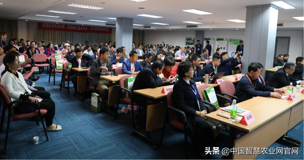 科技与力量的完美结合，最新武器装备展示