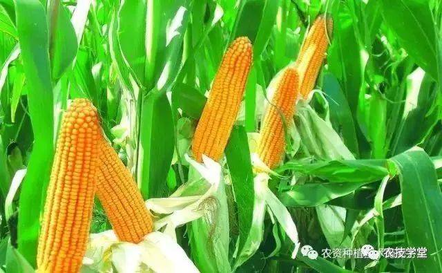 第387页