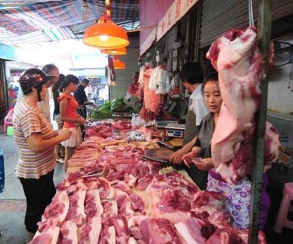 猪肉价格最新动态，探秘奇妙的波动，爱的冒险启程