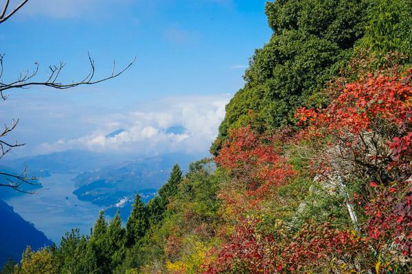醉驾最新处罚标准，一次心灵觉醒之旅