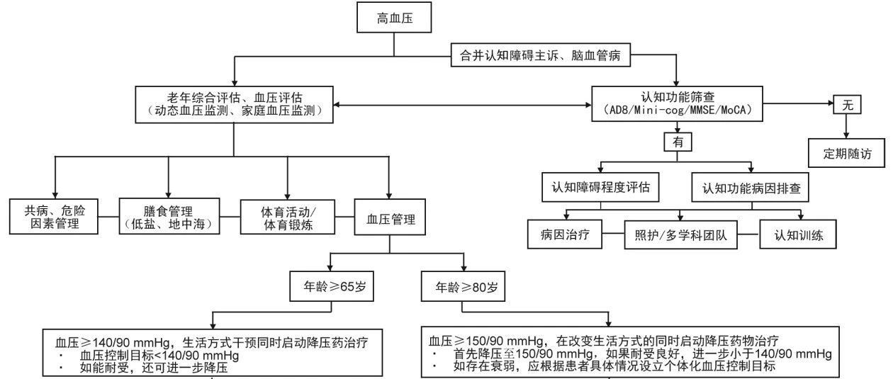 高血压全面指南，最新指南助你了解、管理与预防高血压的秘诀