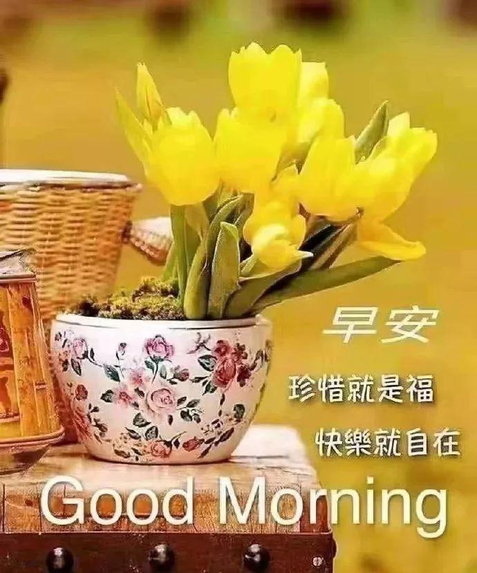 娱乐圈最新消息揭秘，星光下的温馨日常
