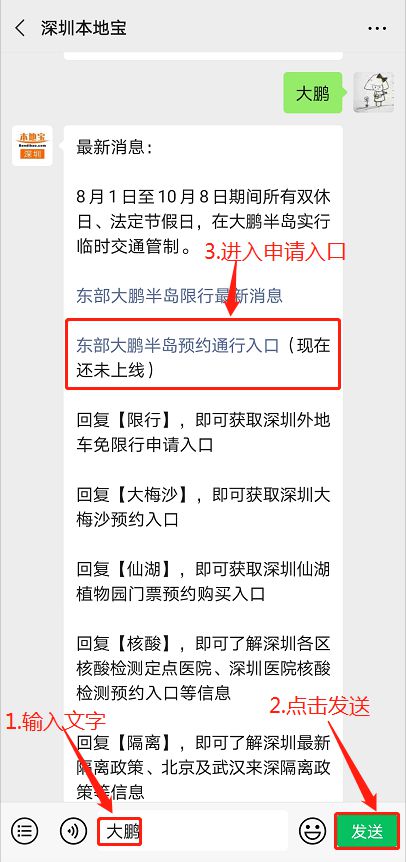 深圳最新限行规定详解指南，政策解读与应对建议