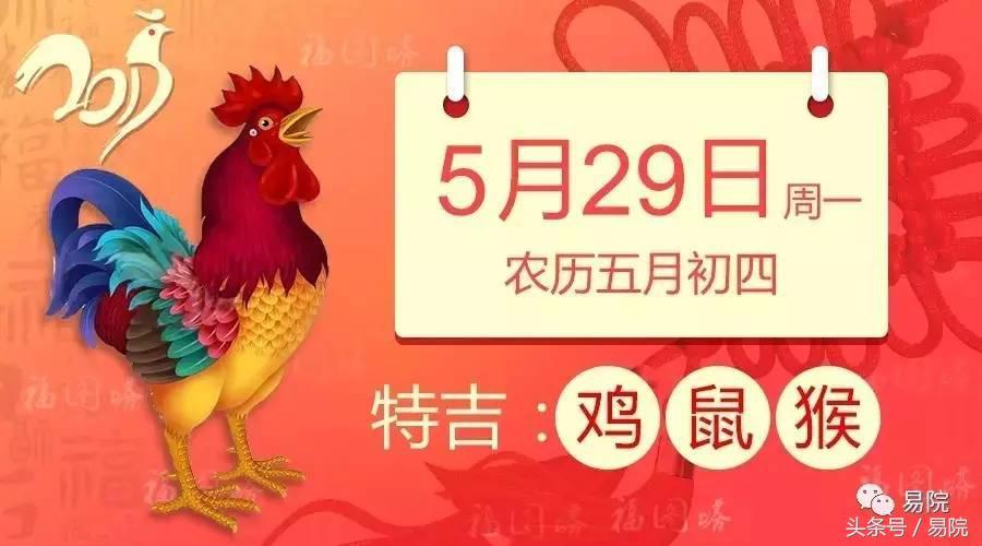 最新卦象解读，洞悉当下运势，预见未来走向