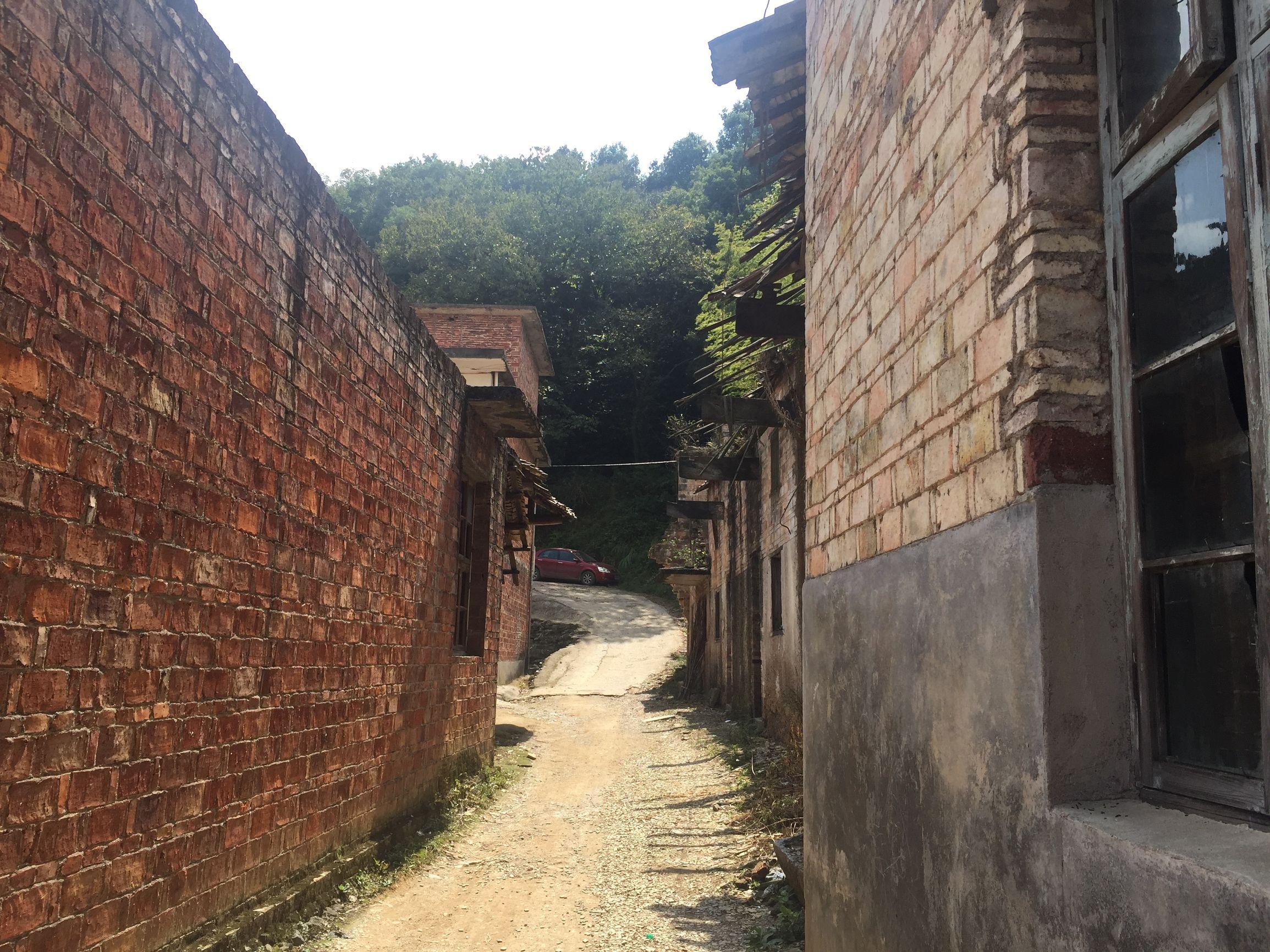宜春房价走势揭秘，小巷深处的隐藏宝藏与最新动态探索之旅