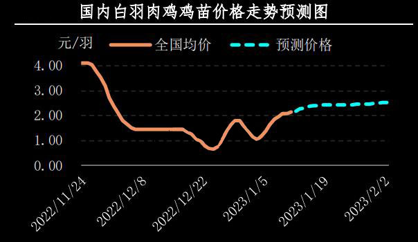 新牧网鸡价预测步骤指南，最新鸡价预测及分析