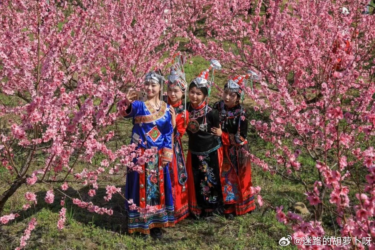 江西新干新闻网，拥抱自然，探寻内心桃花源