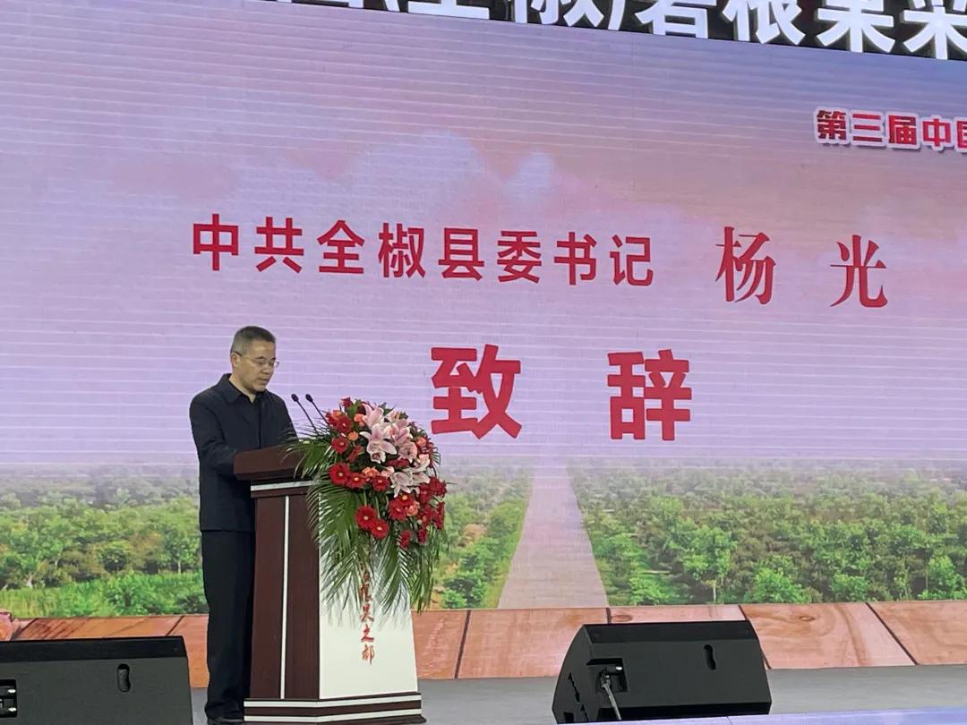全椒林业改制最新动态，拥抱自然的探索之旅