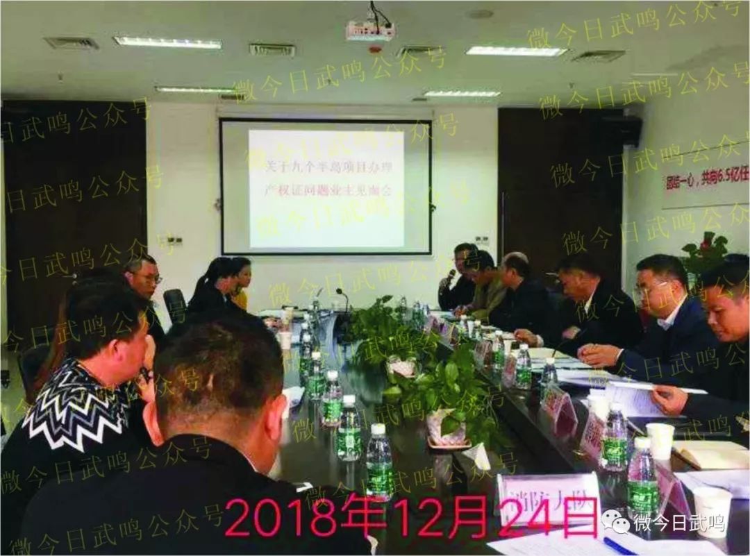 武鸣九个半岛最新房价动态，未来居住新高地的探索