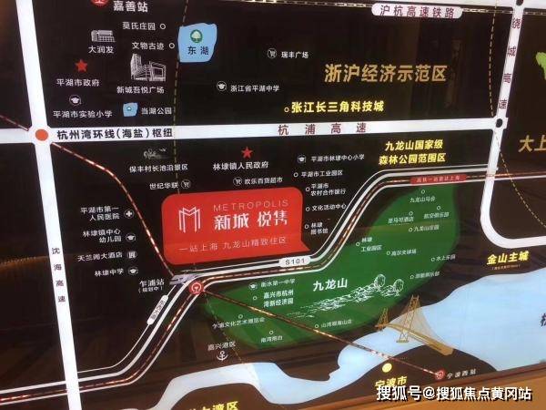 安国新闻打人事件最新消息，深度分析与个人观点
