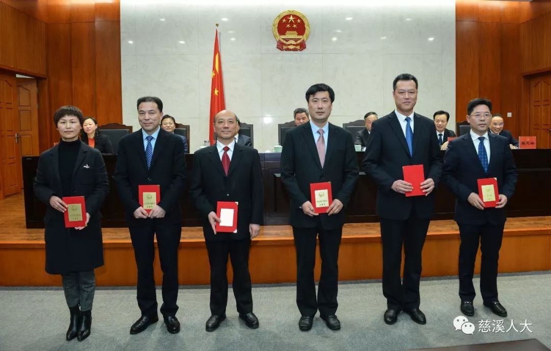 慈溪市最新人事任免，一场情感之旅的温馨启程