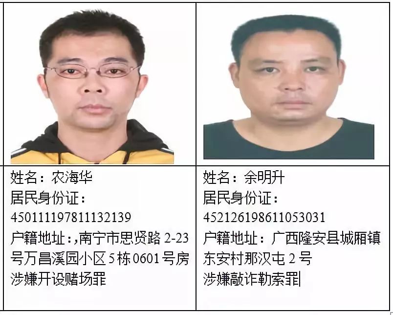广西龙州最新通缉犯探秘及小巷中的隐藏美食宝藏揭秘