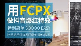 郑成月最新动态实时更新，精彩视频不容错过！