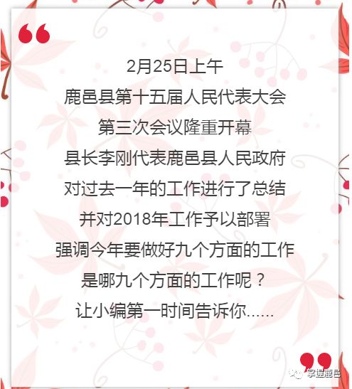 鹿邑县人大最新任免公告及步骤指南