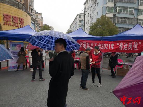 萍乡市最新招聘信息全面解析与详解